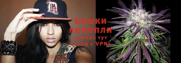 гашик Нефтекумск
