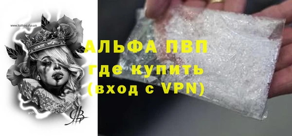 гашик Нефтекумск