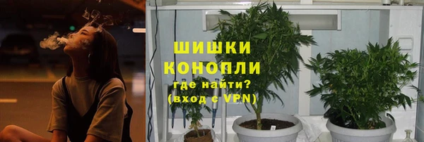 первитин Нея