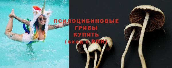 гашик Нефтекумск