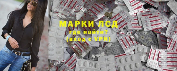 гашик Нефтекумск